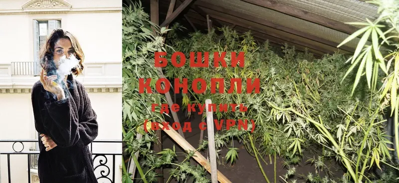 где купить наркотик  Шатура  Бошки Шишки Ganja 